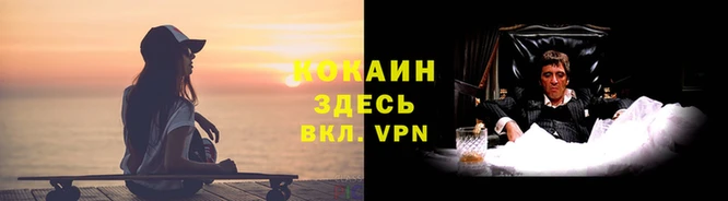 дмт Осинники