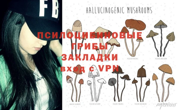 дурь Нягань