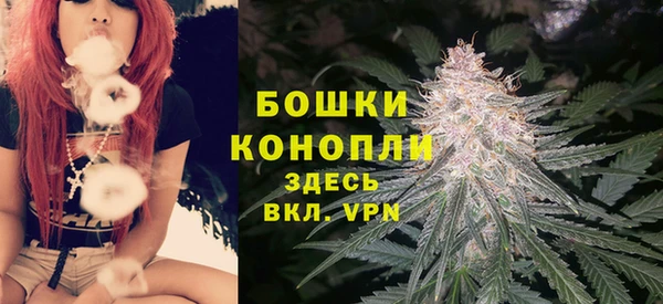 дурь Нягань