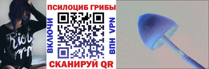 mega рабочий сайт  Удомля  Галлюциногенные грибы Psilocybe 