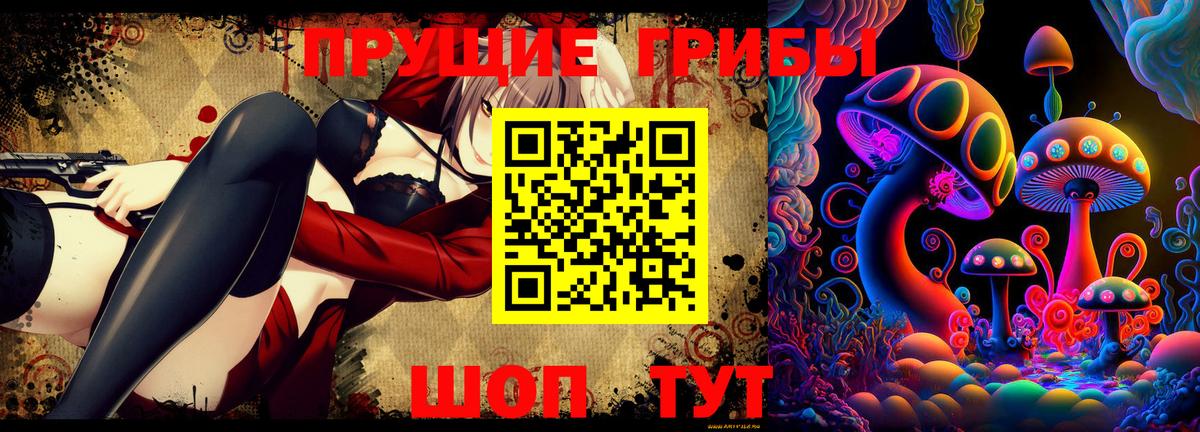 Галлюциногенные грибы GOLDEN TEACHER  Псилоцибиновые грибы мицелий  Удомля  Вход с VPN 